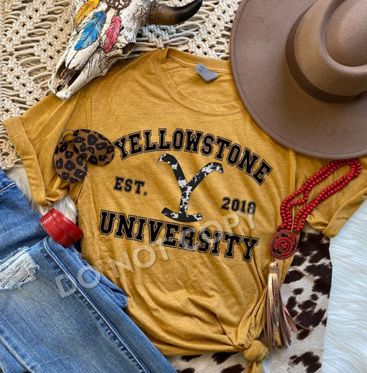 Yellowstone University